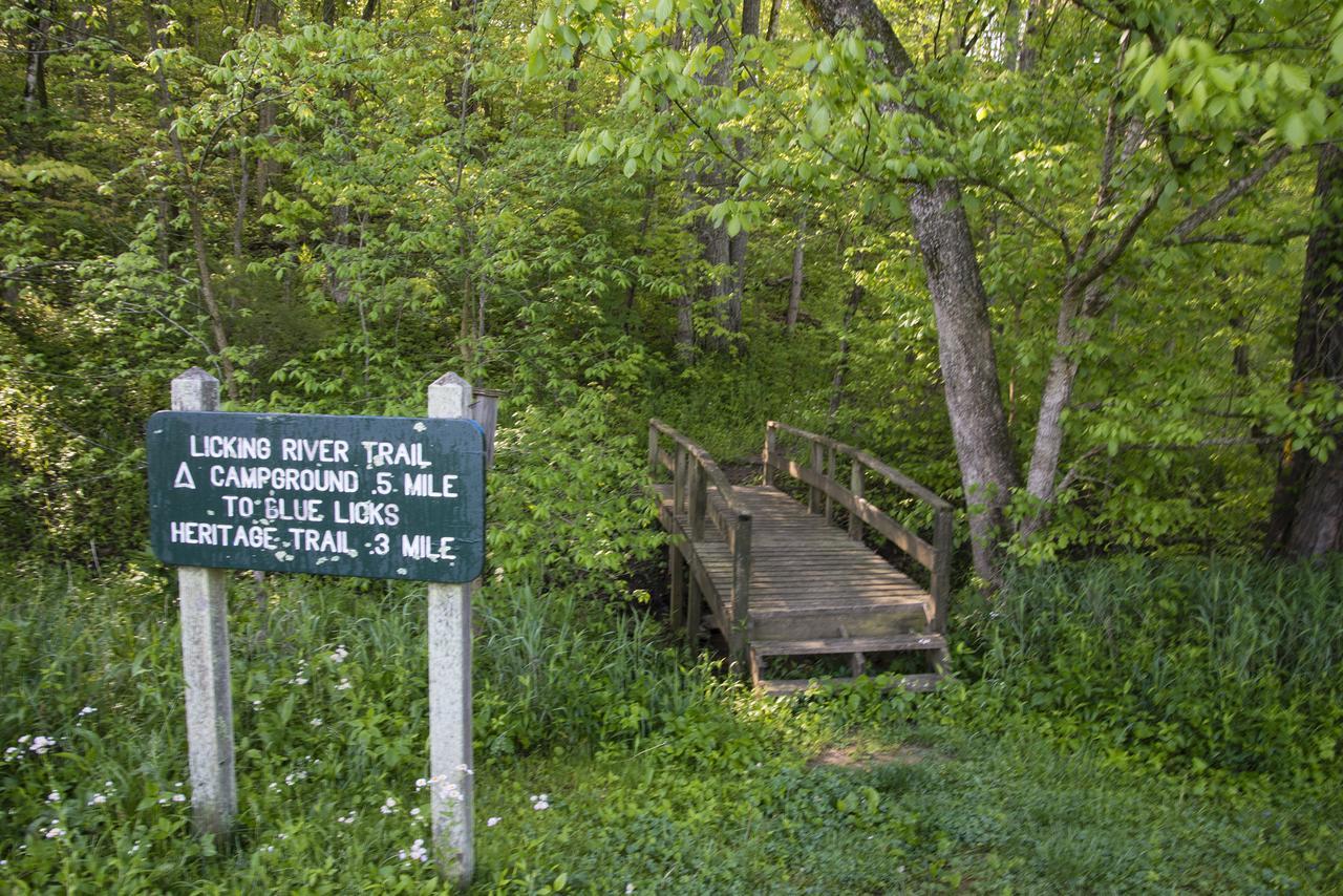 فندق Blue Licks Battlefield State Park Carlisle المظهر الخارجي الصورة